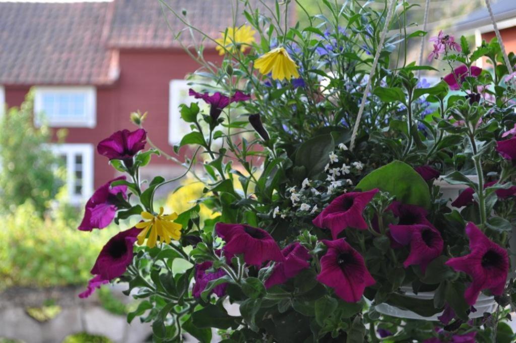 Angelsberg Vandrarhemmet Tallbacka/Aengelsberg Hostel מראה חיצוני תמונה